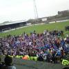 The Fans 