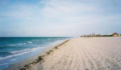 The Beach