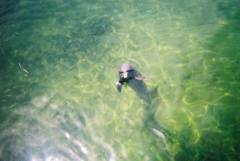DolphinTrip-024.JPG