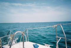 DolphinTrip-001.JPG