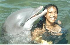 Dolphin1.jpg