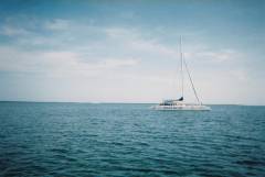 DolphinTrip-004.JPG