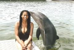 Dolphin4.jpg