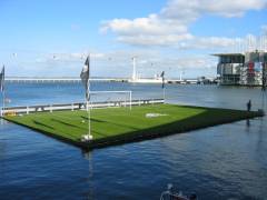 IMG_3064.JPG