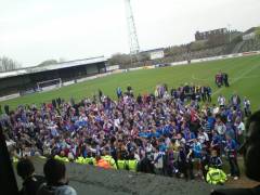 The Fans 