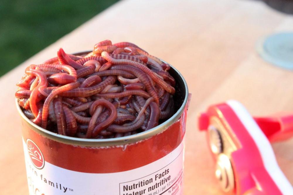 can of worms.jpg